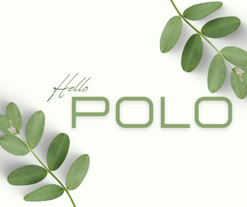 Nguyen Polo